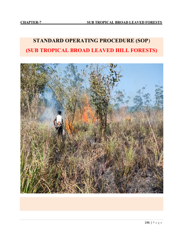 SUB TROPICAL BROAD LEAVED HILL FORESTS